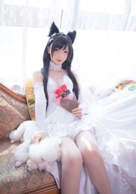 天天高清影视